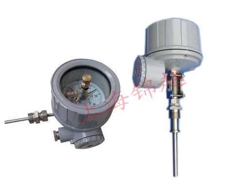 隔爆電接點(diǎn)雙金屬溫度計 WSSX-485B